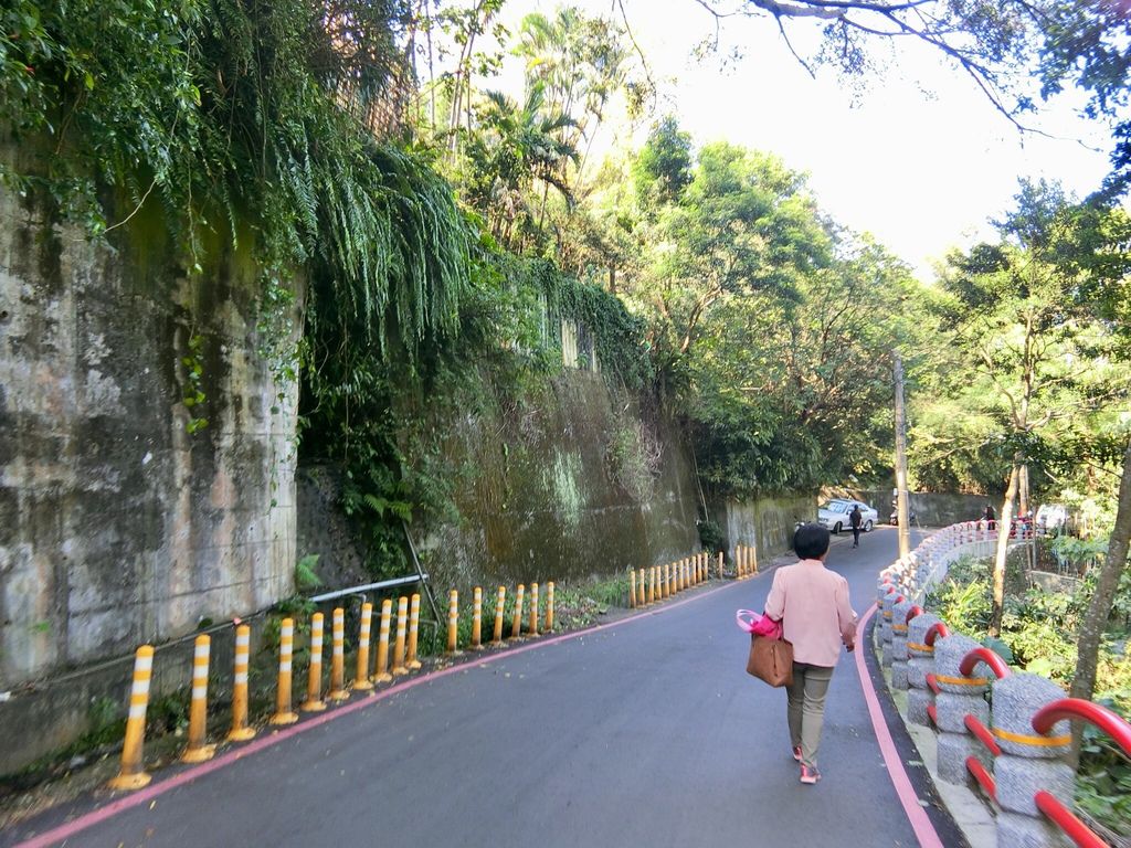 台北松山登山-虎山親山步道-松山奉天宮旁的虎山峰，超美無人大裸石【丁小羽登山篇】