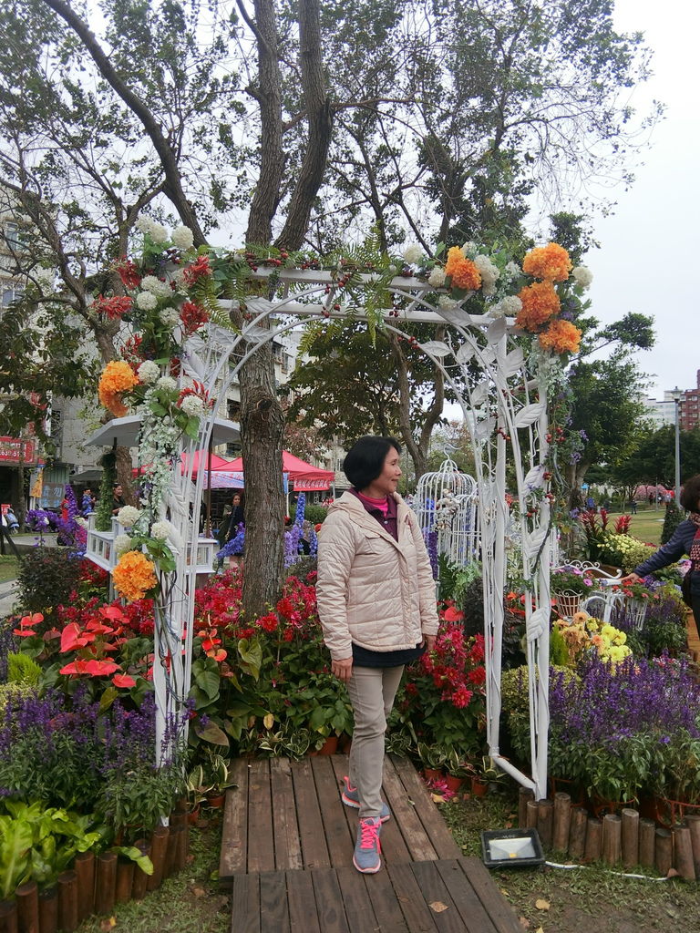 2021櫻花季！東湖樂活公園(上)東湖櫻花林的盛開現況，一起來欣賞櫻花的美【丁小羽旅遊篇】