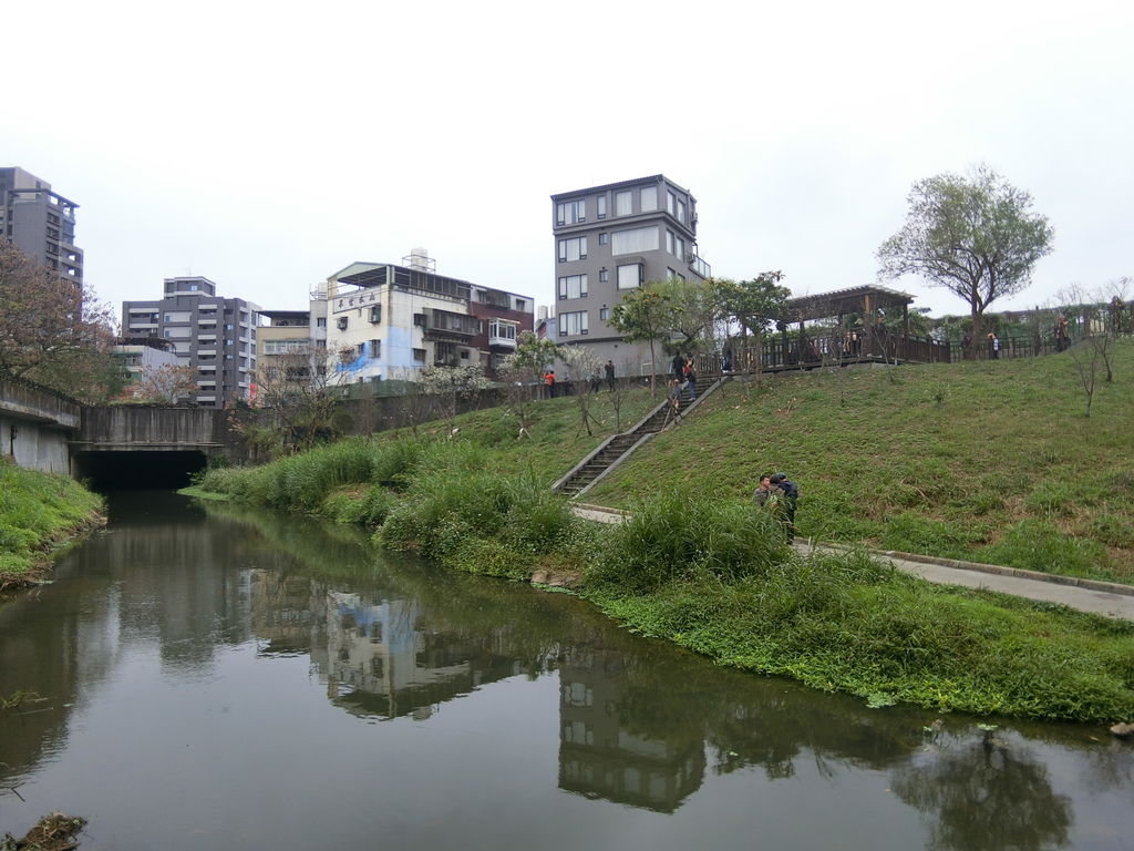 2021櫻花季！東湖樂活公園(上)東湖櫻花林的盛開現況，一起來欣賞櫻花的美【丁小羽旅遊篇】