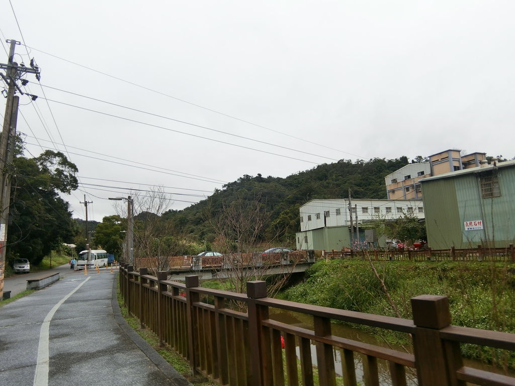 2021櫻花季！東湖樂活公園(上)東湖櫻花林的盛開現況，一起來欣賞櫻花的美【丁小羽旅遊篇】