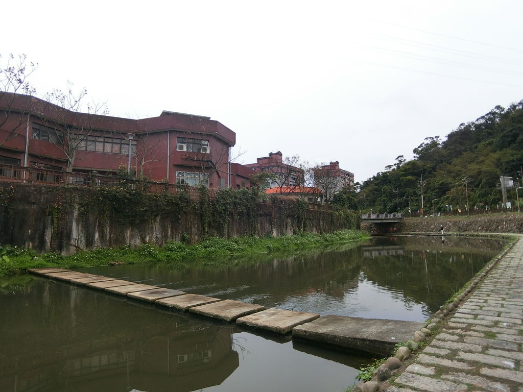 2021櫻花季！東湖樂活公園(下)在東湖櫻花林賞夜櫻，欣賞夜櫻綻放的美【丁小羽旅遊篇】