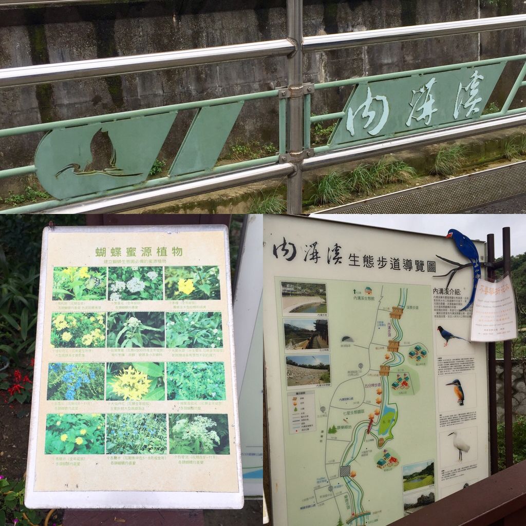 2021櫻花季！東湖樂活公園(上)東湖櫻花林的盛開現況，一起來欣賞櫻花的美【丁小羽旅遊篇】