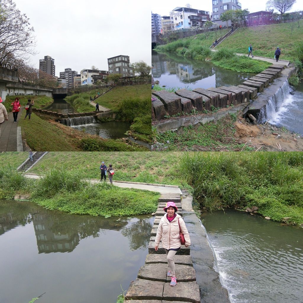 2021櫻花季！東湖樂活公園(上)東湖櫻花林的盛開現況，一起來欣賞櫻花的美【丁小羽旅遊篇】