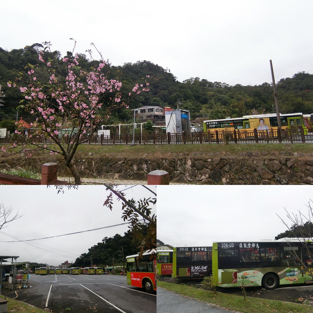 2021櫻花季！東湖樂活公園(下)在東湖櫻花林賞夜櫻，欣賞夜櫻綻放的美【丁小羽旅遊篇】