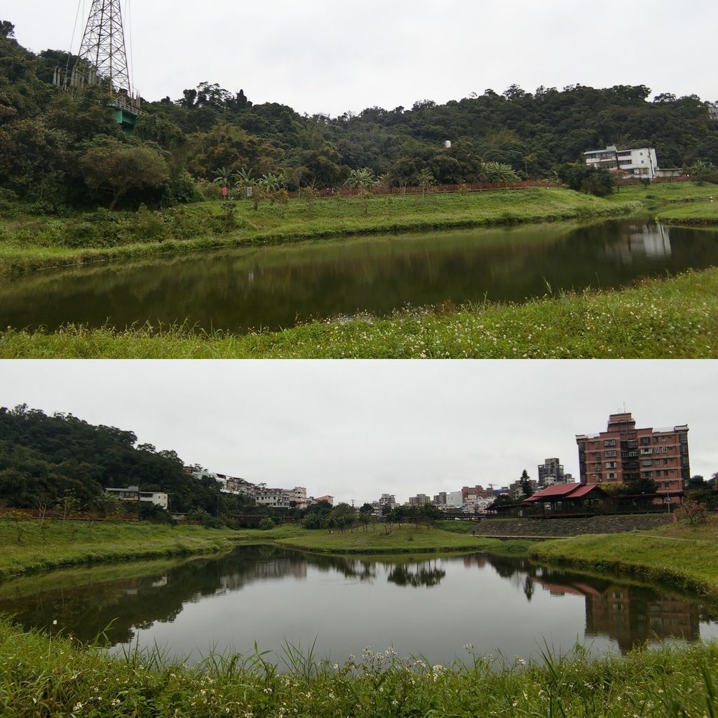 2021櫻花季！東湖樂活公園(上)東湖櫻花林的盛開現況，一起來欣賞櫻花的美【丁小羽旅遊篇】