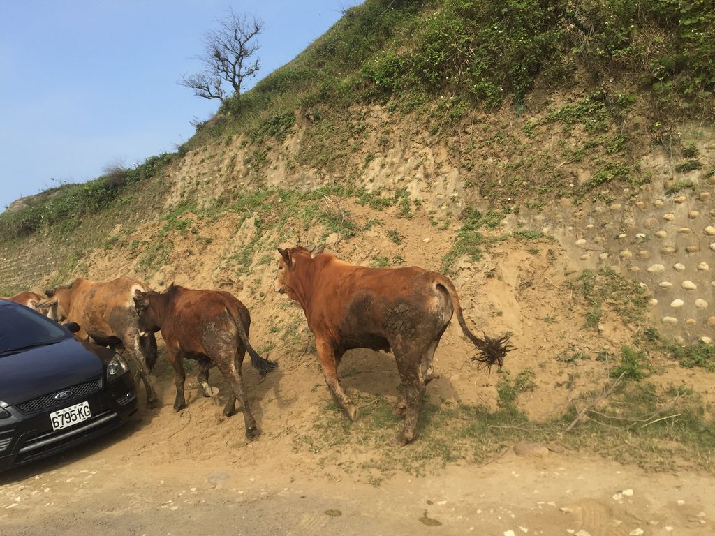 西濱公路享受台灣大峽谷秘境,越野車必去的林口水牛坑越野場!
