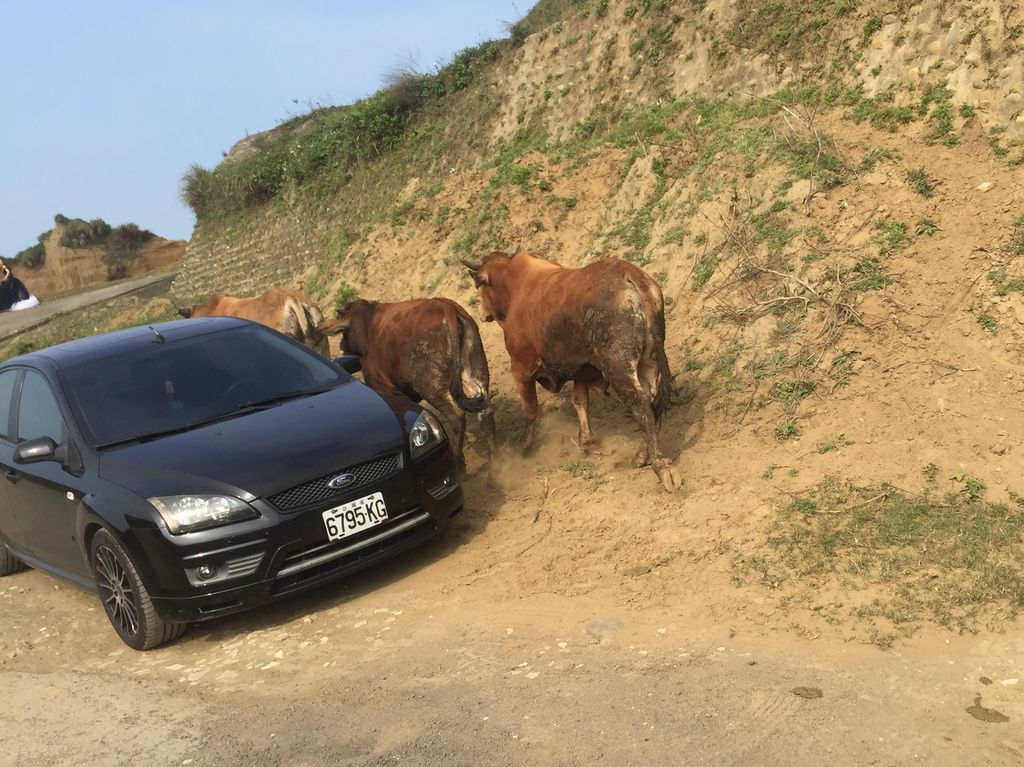 西濱公路享受台灣大峽谷秘境,越野車必去的林口水牛坑越野場!