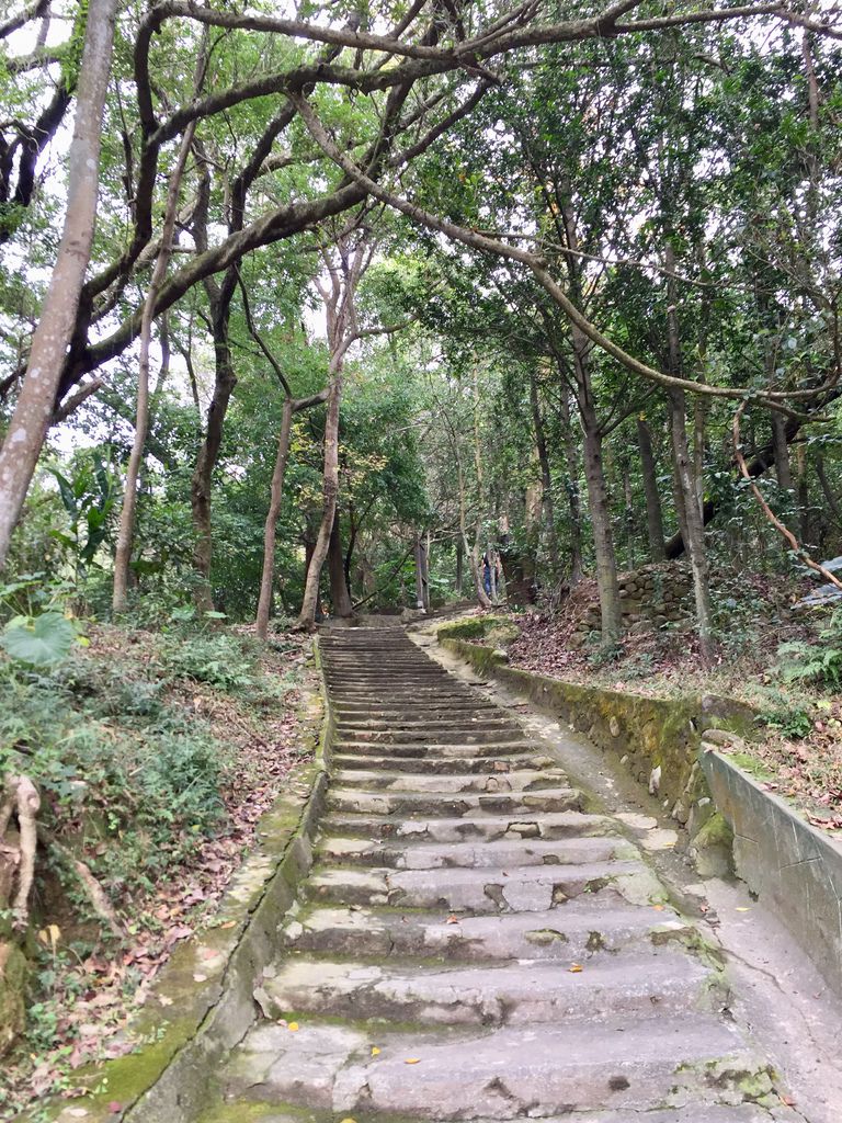 台北登山-忠義山親山步道-北投行天宮白櫻花步道!【丁小羽登山篇】