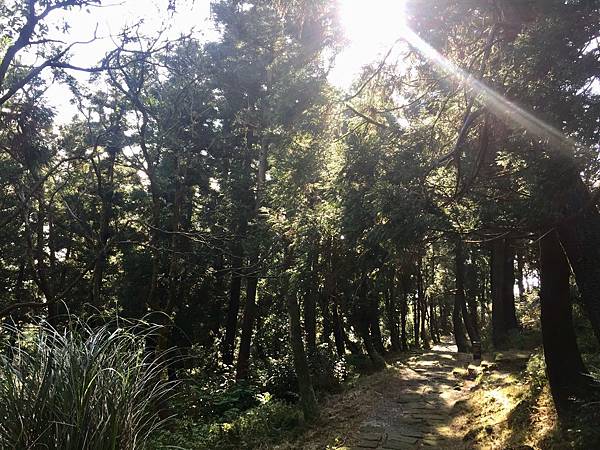 台北登山-台北市第一高峰-七星山主峰東峰!夢幻湖生態步道【丁小羽登山篇】