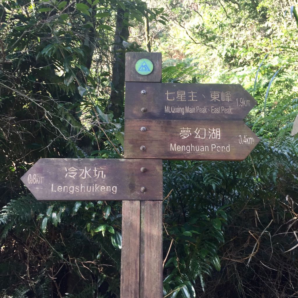 北投景點-走訪國家級濕地！陽明山夢幻湖步道