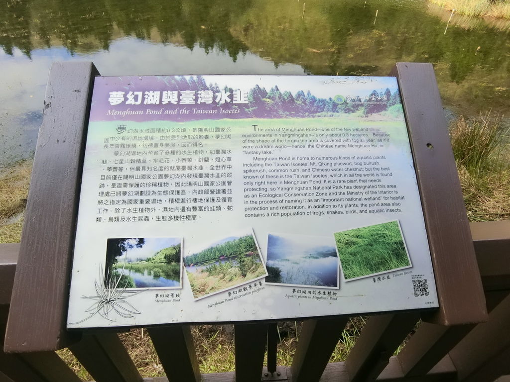 北投景點-走訪國家級濕地！陽明山夢幻湖步道