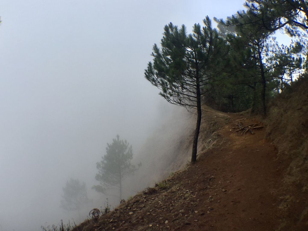 菲律賓自由行-菲律賓登山必去景點,碧瑤附近的登山天堂Mt.Ulap!【丁小羽旅遊篇】