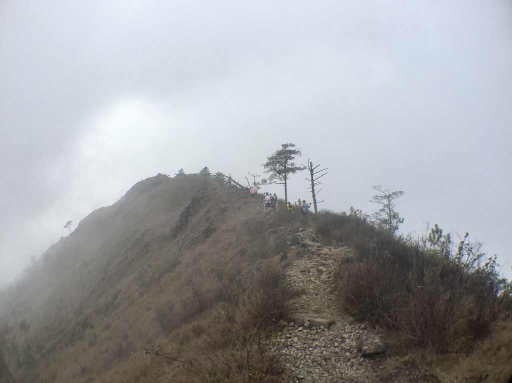 菲律賓自由行-菲律賓登山必去景點,碧瑤附近的登山天堂Mt.Ulap!【丁小羽旅遊篇】