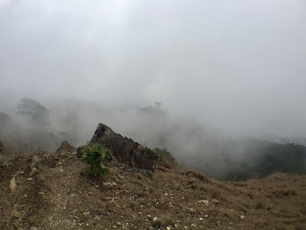 菲律賓自由行-菲律賓登山必去景點,碧瑤附近的登山天堂Mt.Ulap!【丁小羽旅遊篇】