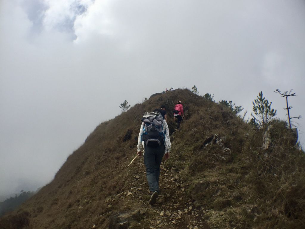 菲律賓自由行-菲律賓登山必去景點,碧瑤附近的登山天堂Mt.Ulap!【丁小羽旅遊篇】