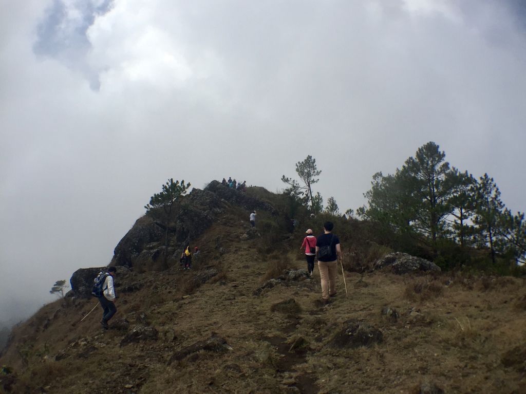 菲律賓自由行-菲律賓登山必去景點,碧瑤附近的登山天堂Mt.Ulap!【丁小羽旅遊篇】