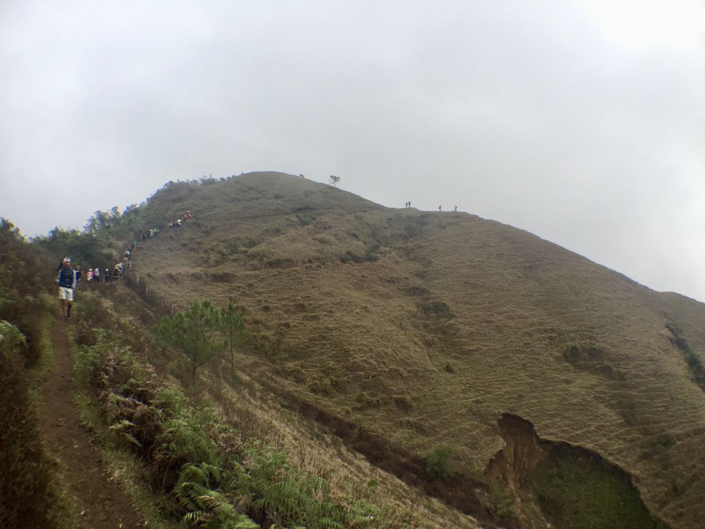 菲律賓自由行-菲律賓登山必去景點,碧瑤附近的登山天堂Mt.Ulap!【丁小羽旅遊篇】