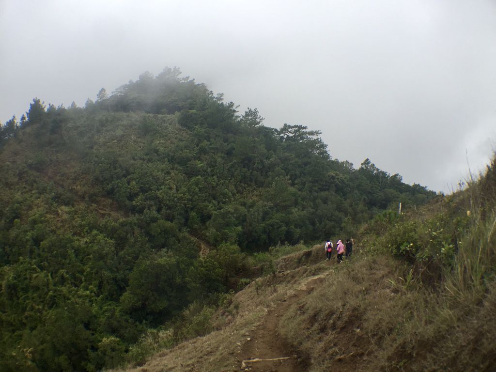 菲律賓自由行-菲律賓登山必去景點,碧瑤附近的登山天堂Mt.Ulap!【丁小羽旅遊篇】