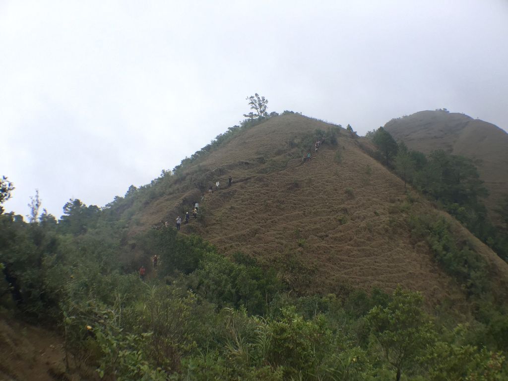 菲律賓自由行-菲律賓登山必去景點,碧瑤附近的登山天堂Mt.Ulap!【丁小羽旅遊篇】