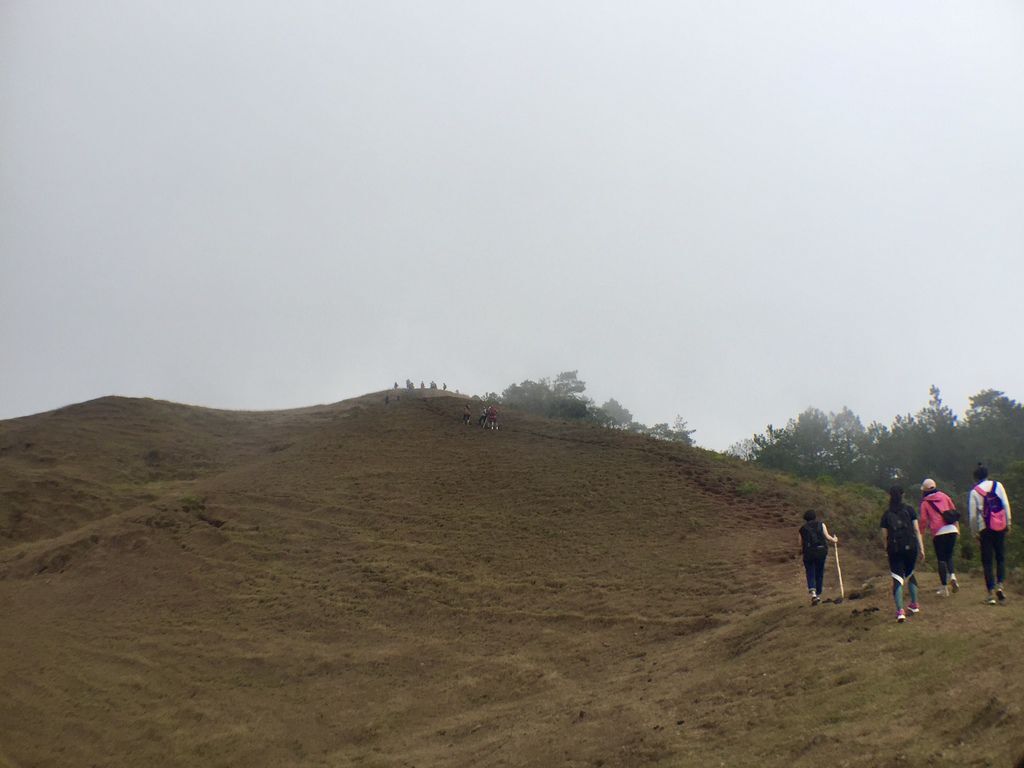 菲律賓自由行-菲律賓登山必去景點,碧瑤附近的登山天堂Mt.Ulap!【丁小羽旅遊篇】