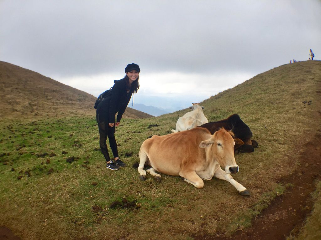 菲律賓自由行-菲律賓登山必去景點,碧瑤附近的登山天堂Mt.Ulap!【丁小羽旅遊篇】