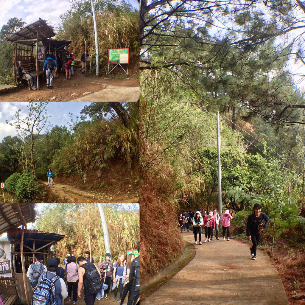 菲律賓自由行-菲律賓登山必去景點,碧瑤附近的登山天堂Mt.Ulap!【丁小羽旅遊篇】