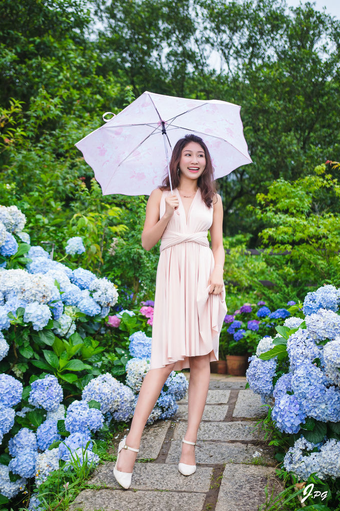 2020繡球花季!雲霧之間的繡球花就在陽明山-竹子湖花與樹繡球花園【丁小羽旅遊篇】 2020繡球花季!雲霧之間的繡球花就在陽明山-竹子湖花與樹繡球花園【丁小羽旅遊篇】