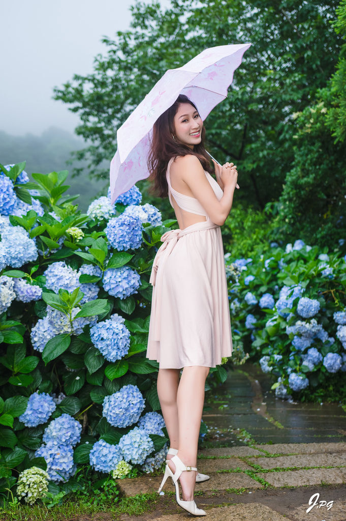 2020繡球花季!雲霧之間的繡球花就在陽明山-竹子湖花與樹繡球花園【丁小羽旅遊篇】 2020繡球花季!雲霧之間的繡球花就在陽明山-竹子湖花與樹繡球花園【丁小羽旅遊篇】