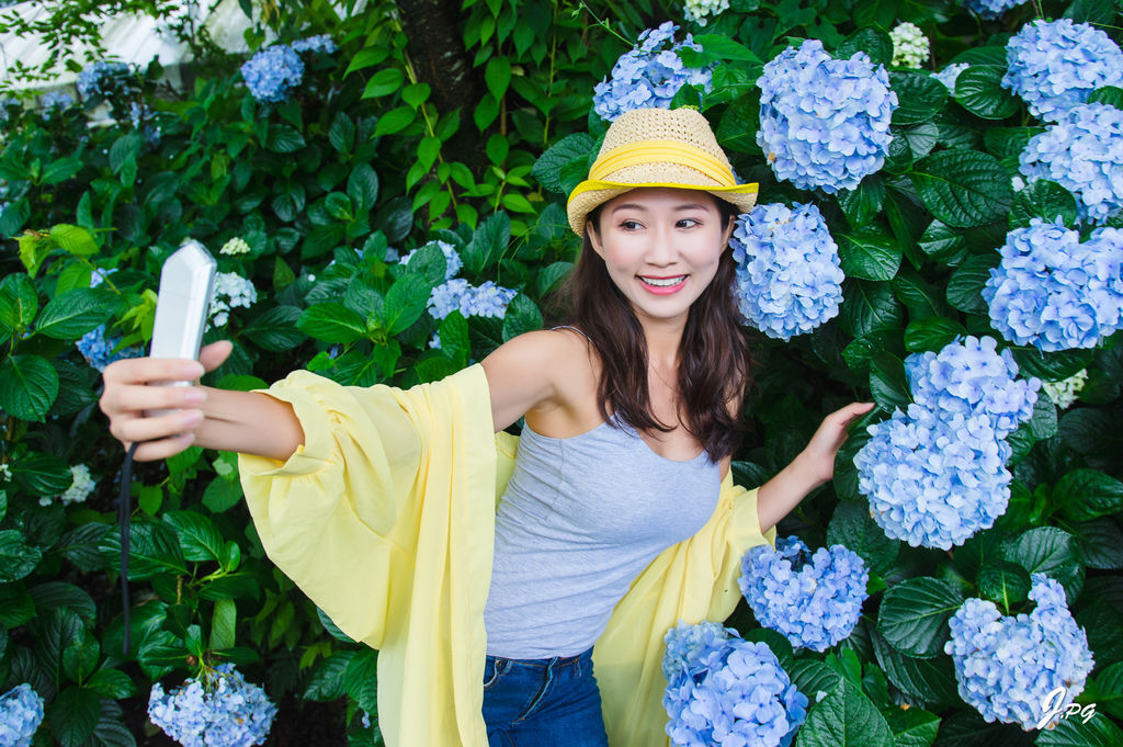 2019繡球花季!雲霧之間的繡球花就在陽明山-竹子湖花與樹繡球花園【丁小羽旅遊篇】 2019繡球花季!雲霧之間的繡球花就在陽明山-竹子湖花與樹繡球花園【丁小羽旅遊篇】