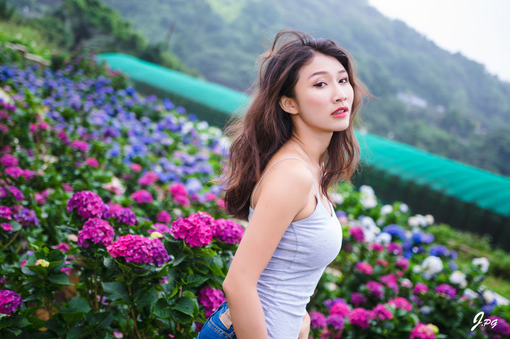 2020繡球花季!雲霧之間的繡球花就在陽明山-竹子湖花與樹繡球花園【丁小羽旅遊篇】 2020繡球花季!雲霧之間的繡球花就在陽明山-竹子湖花與樹繡球花園【丁小羽旅遊篇】