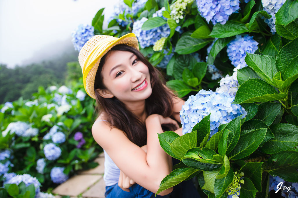 2020繡球花季!雲霧之間的繡球花就在陽明山-竹子湖花與樹繡球花園【丁小羽旅遊篇】