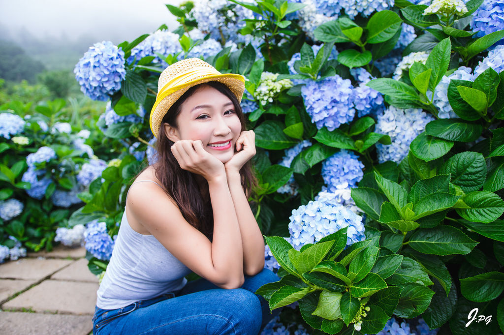 2020繡球花季!雲霧之間的繡球花就在陽明山-竹子湖花與樹繡球花園【丁小羽旅遊篇】 2020繡球花季!雲霧之間的繡球花就在陽明山-竹子湖花與樹繡球花園【丁小羽旅遊篇】