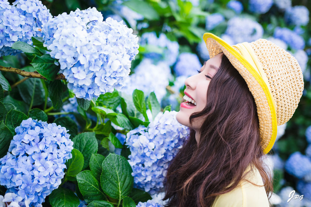 2020繡球花季!雲霧之間的繡球花就在陽明山-竹子湖花與樹繡球花園【丁小羽旅遊篇】 2020繡球花季!雲霧之間的繡球花就在陽明山-竹子湖花與樹繡球花園【丁小羽旅遊篇】