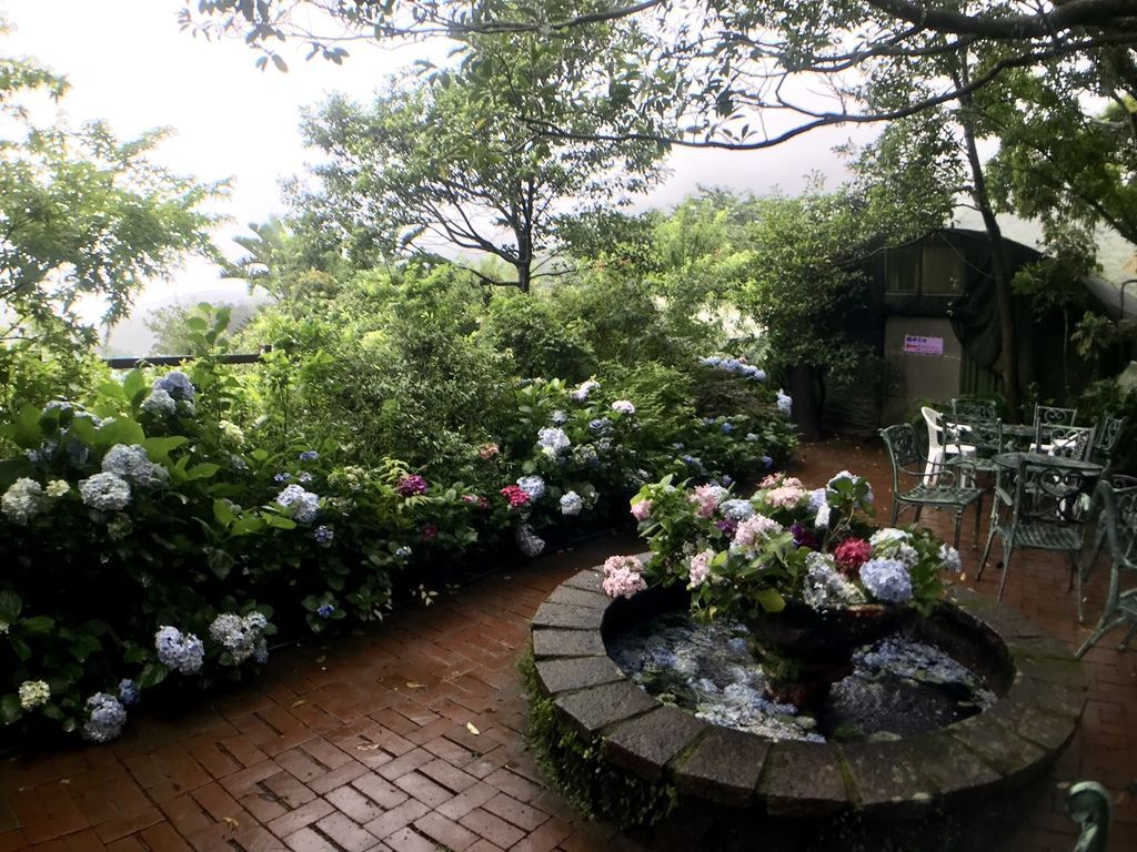 2020繡球花季!雲霧之間的繡球花就在陽明山-竹子湖花與樹繡球花園【丁小羽旅遊篇】 2020繡球花季!雲霧之間的繡球花就在陽明山-竹子湖花與樹繡球花園【丁小羽旅遊篇】