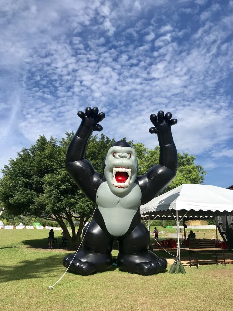 桃園一日遊必去的桃園景點-2019桃園石門水庫熱氣球嘉年華【丁小羽旅遊篇】