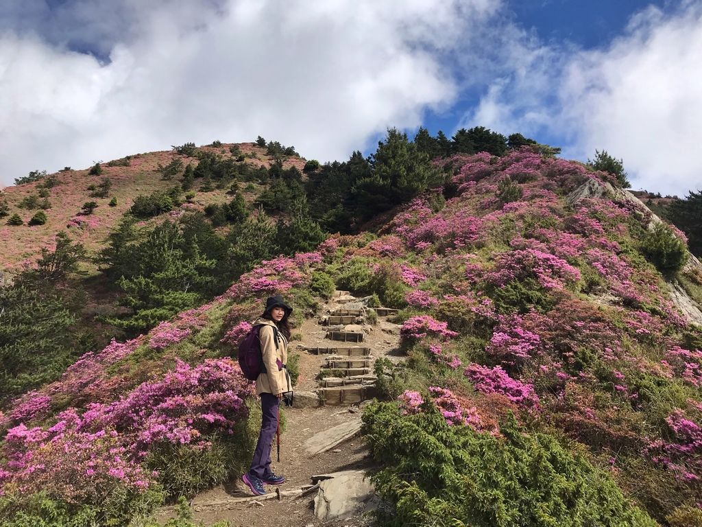 台灣百岳-合歡山群峰懶人包，新手也能登台灣百岳！