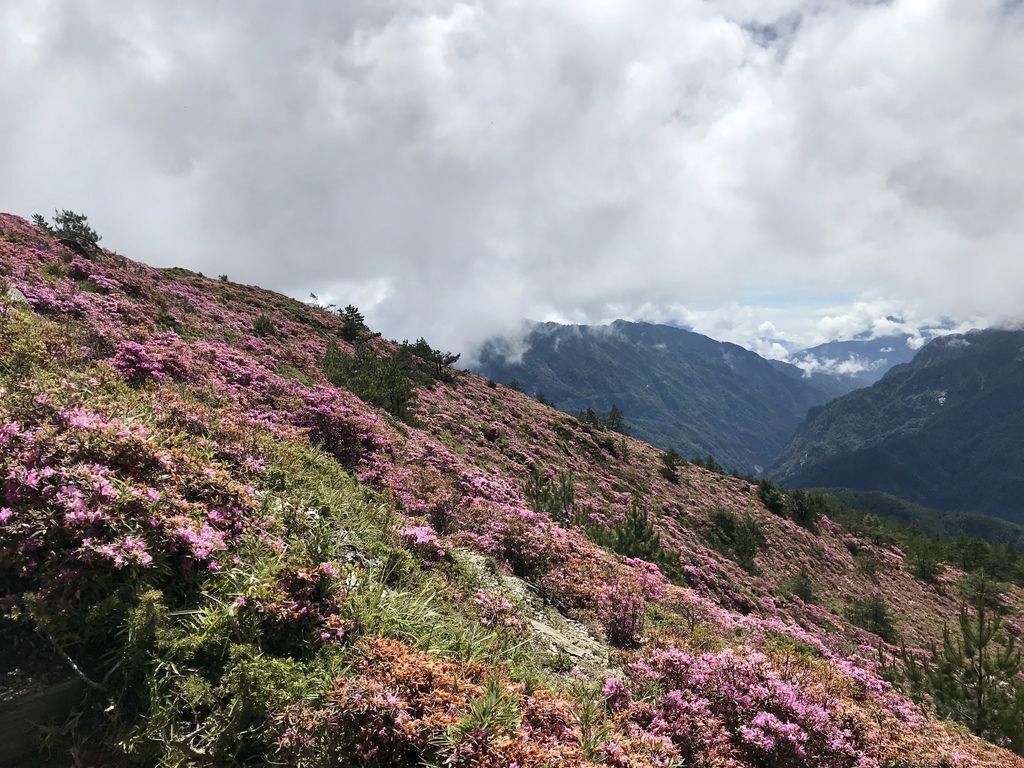 台灣百岳登山-合歡山北峰-合歡群峰最高峰!小羽的首座百岳推薦【丁小羽登山篇】