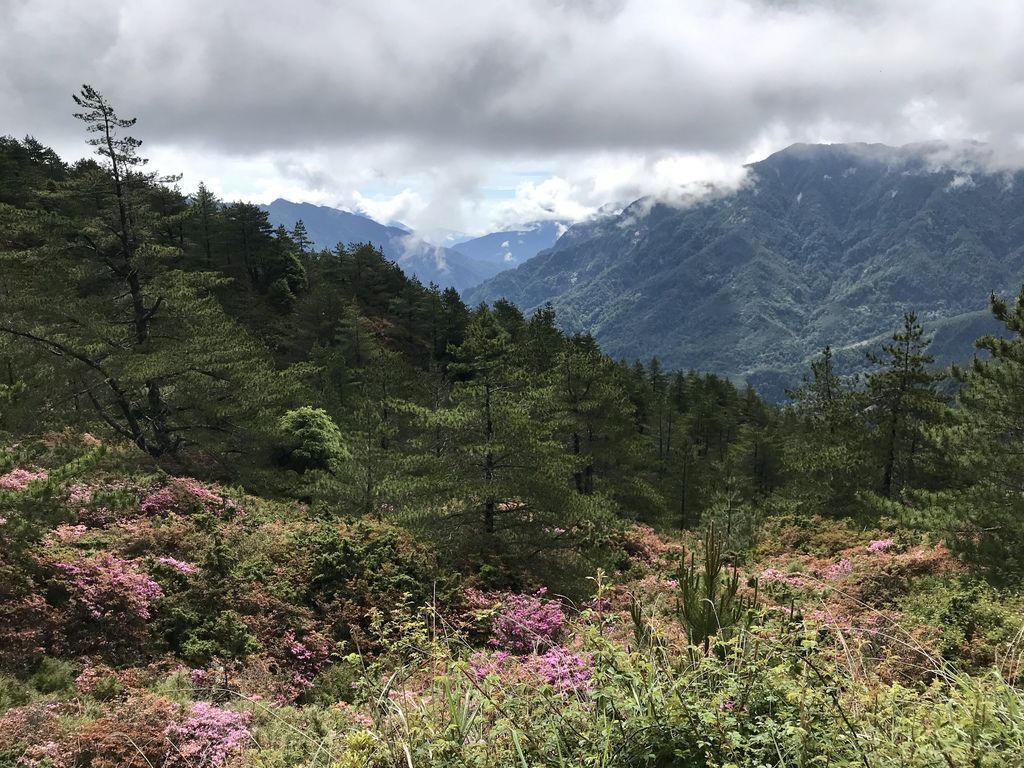 台灣百岳登山-合歡山北峰-合歡群峰最高峰!小羽的首座百岳推薦【丁小羽登山篇】