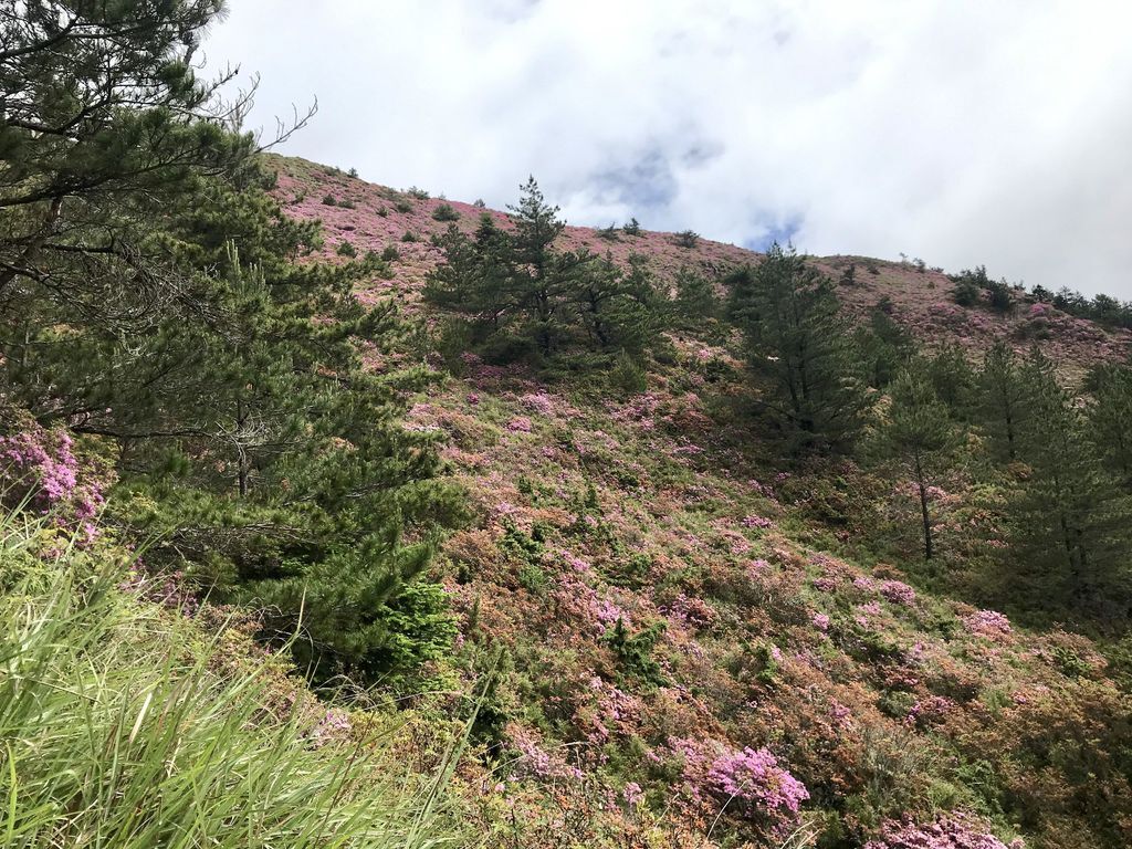 台灣百岳登山-合歡山北峰-合歡群峰最高峰!小羽的首座百岳推薦【丁小羽登山篇】