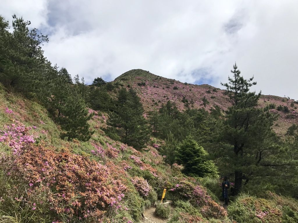 台灣百岳登山-合歡山北峰-合歡群峰最高峰!小羽的首座百岳推薦【丁小羽登山篇】