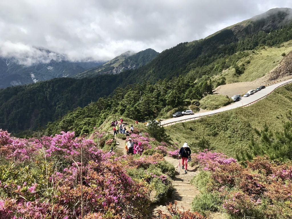 台灣百岳登山-合歡山北峰-合歡群峰最高峰!小羽的首座百岳推薦【丁小羽登山篇】