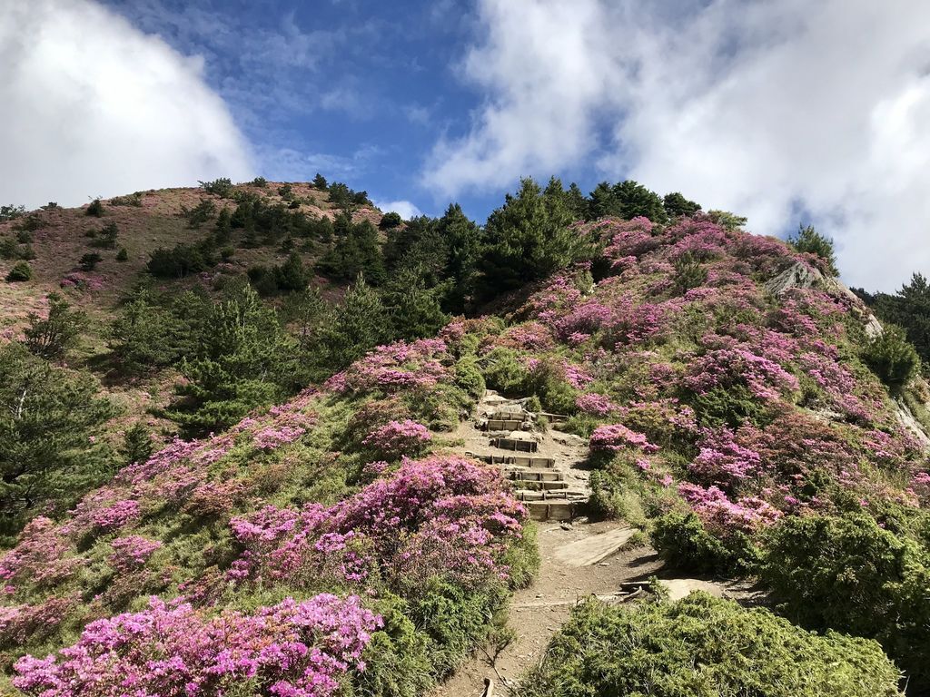 台灣百岳登山-合歡山北峰-合歡群峰最高峰!小羽的首座百岳推薦【丁小羽登山篇】