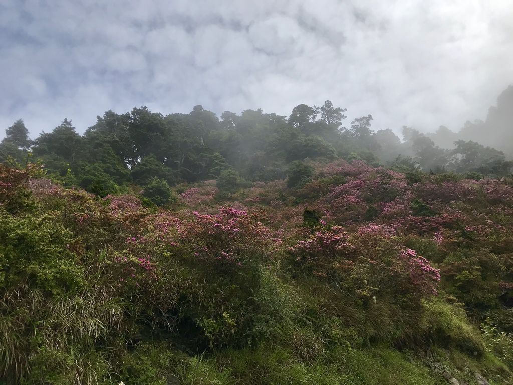 台灣百岳登山-合歡山北峰-合歡群峰最高峰!小羽的首座百岳推薦【丁小羽登山篇】