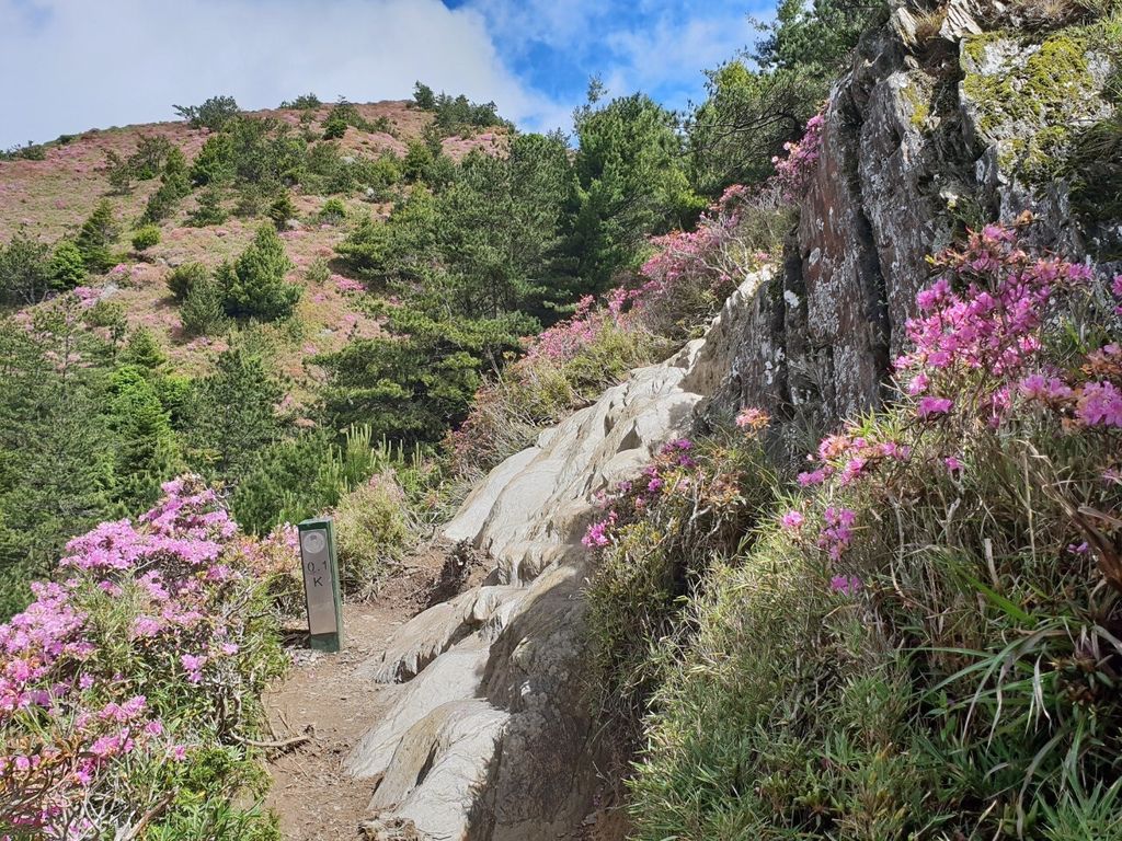 台灣百岳登山-合歡山北峰-合歡群峰最高峰!小羽的首座百岳推薦【丁小羽登山篇】