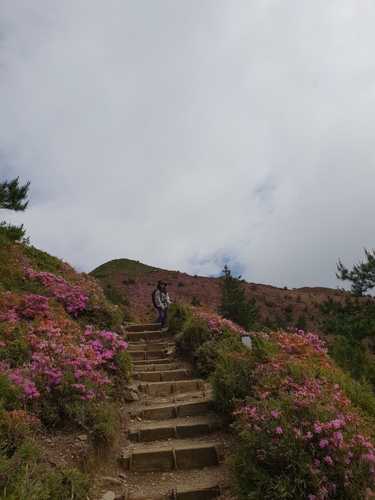 台灣百岳登山-合歡山北峰-合歡群峰最高峰!小羽的首座百岳推薦【丁小羽登山篇】