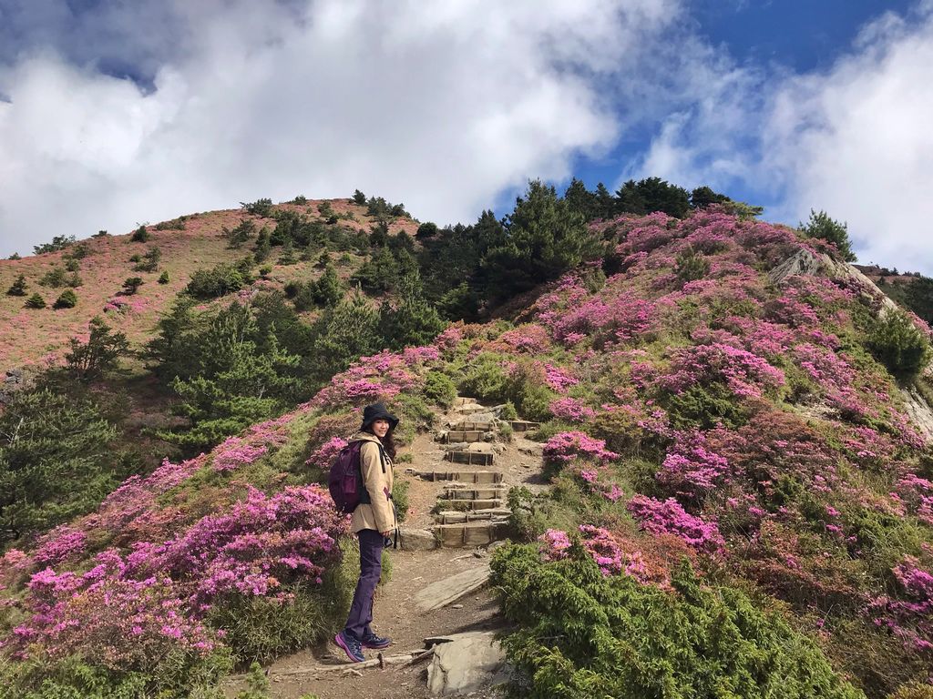 台灣百岳登山-合歡山北峰-合歡群峰最高峰!小羽的首座百岳推薦【丁小羽登山篇】