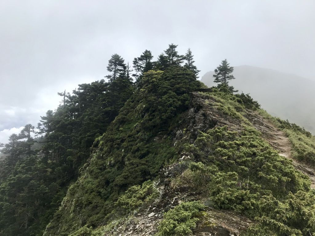 台灣百岳登山-小羽帶你挑戰最難的合歡山西峰!【丁小羽登山篇】