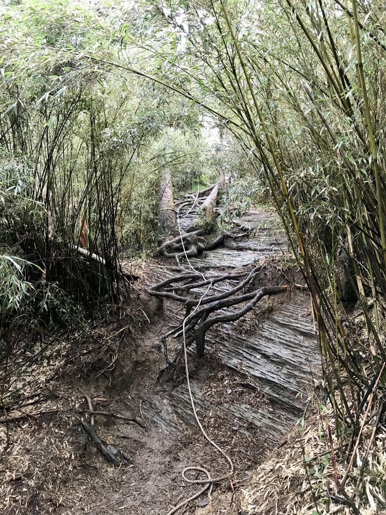 台灣百岳登山-小羽帶你挑戰最難的合歡山西峰!【丁小羽登山篇】