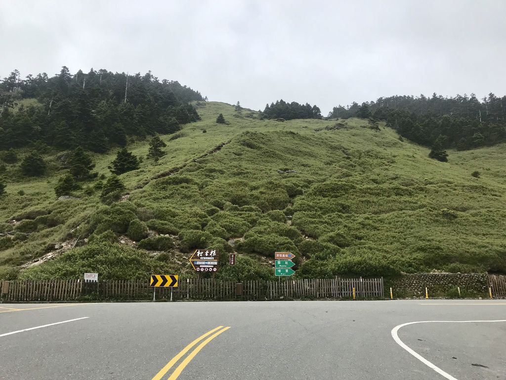 台灣百岳登山-入門的百岳合歡山東峰,讓你漫步在雲海中！【丁小羽登山篇】