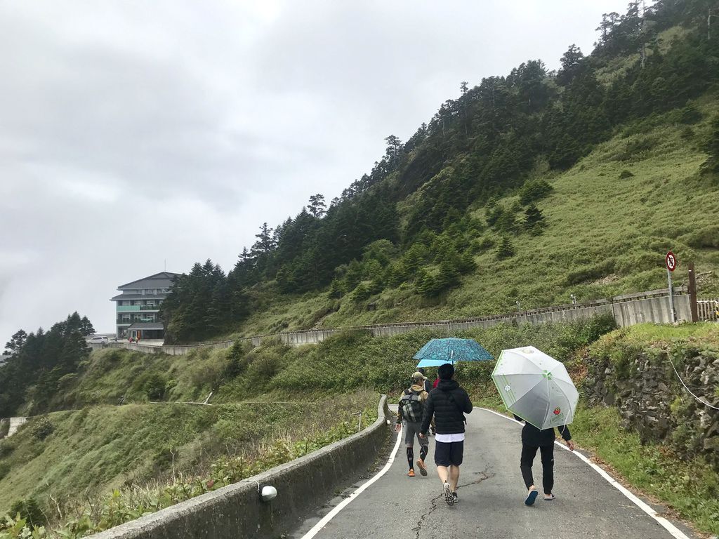 台灣百岳登山-入門的百岳合歡山東峰,讓你漫步在雲海中！【丁小羽登山篇】